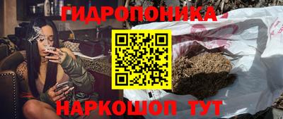 прущий лед Будённовск