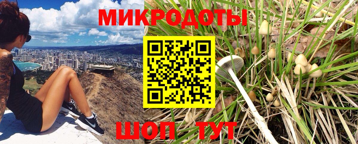 Галлюциногенные грибы MAGIC MUSHROOMS  Вход с VPN  Аша 